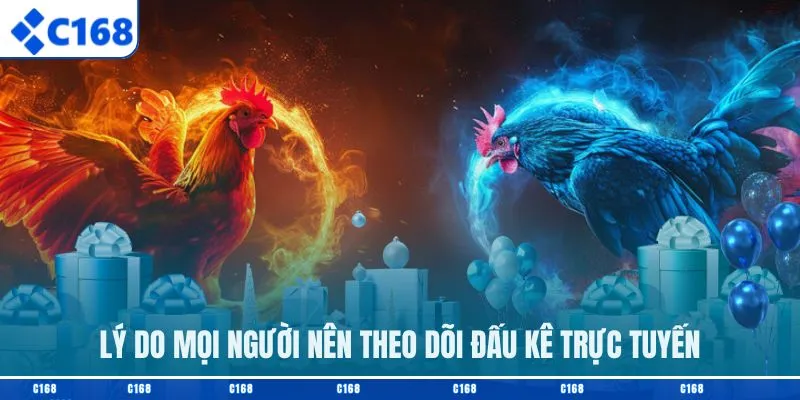 Lý do mọi người nên theo dõi đấu kê trực tuyến