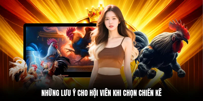 Những lưu ý cho hội viên khi chọn chiến kê